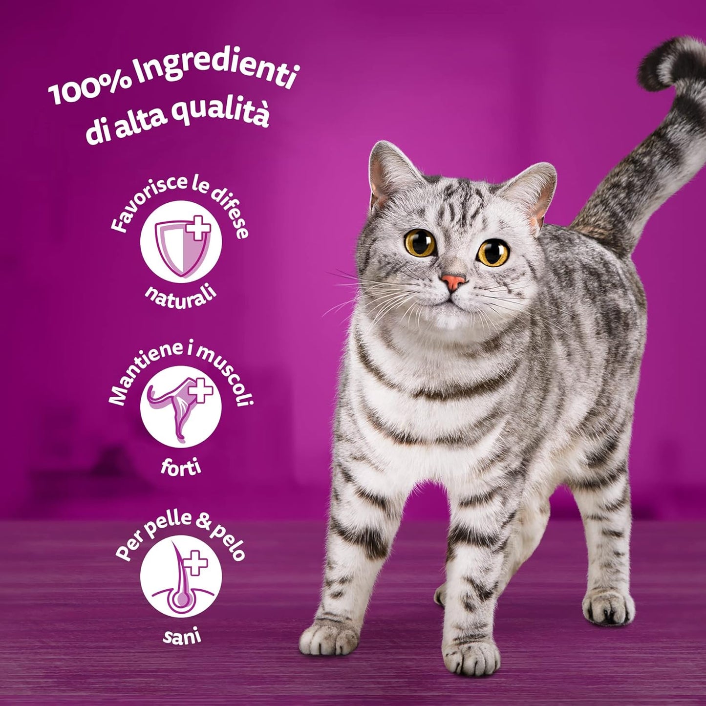 Whiskas Adult 1+ Wet Cat Food Mixed Selection in Jelly, 84 Portion Bags